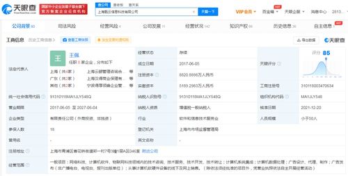電子產品的技術開發(fā)與銷售 創(chuàng)新驅動與市場策略